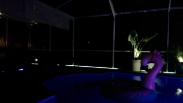 Hardworkertn  24-09-2021 video twerk